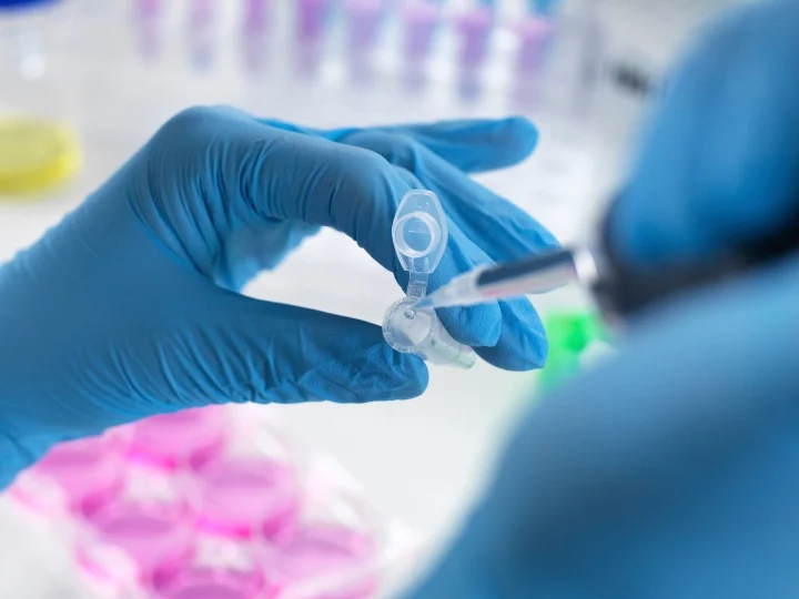 Particle Size Analyzers Thailand